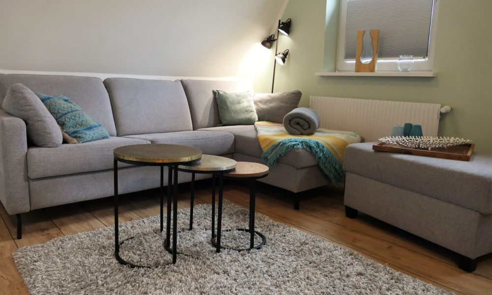 Tierfreundliche, barrierefreie Wohnung 3